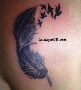 tatuajes-de-plumas-tattoos-feathers-15_large